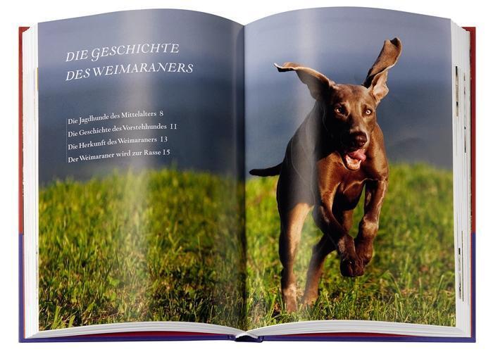 Bild: 9783440118535 | Weimaraner | Geschichte, Haltung, Ausbildung, Zucht | Buch | Deutsch