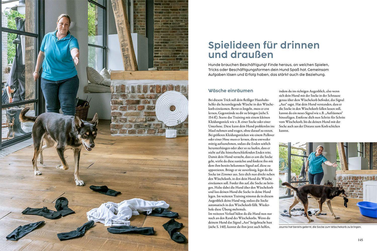 Bild: 9783440174586 | Hundetraining mit Martin Rütter | Martin Rütter (u. a.) | Buch | 2022