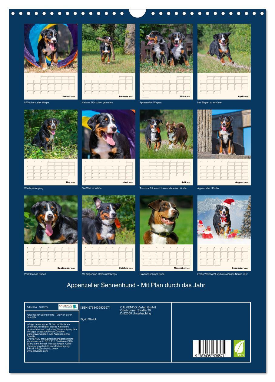 Bild: 9783435936571 | Appenzeller Sennenhund - Mit Plan durch das Jahr (Wandkalender 2025...