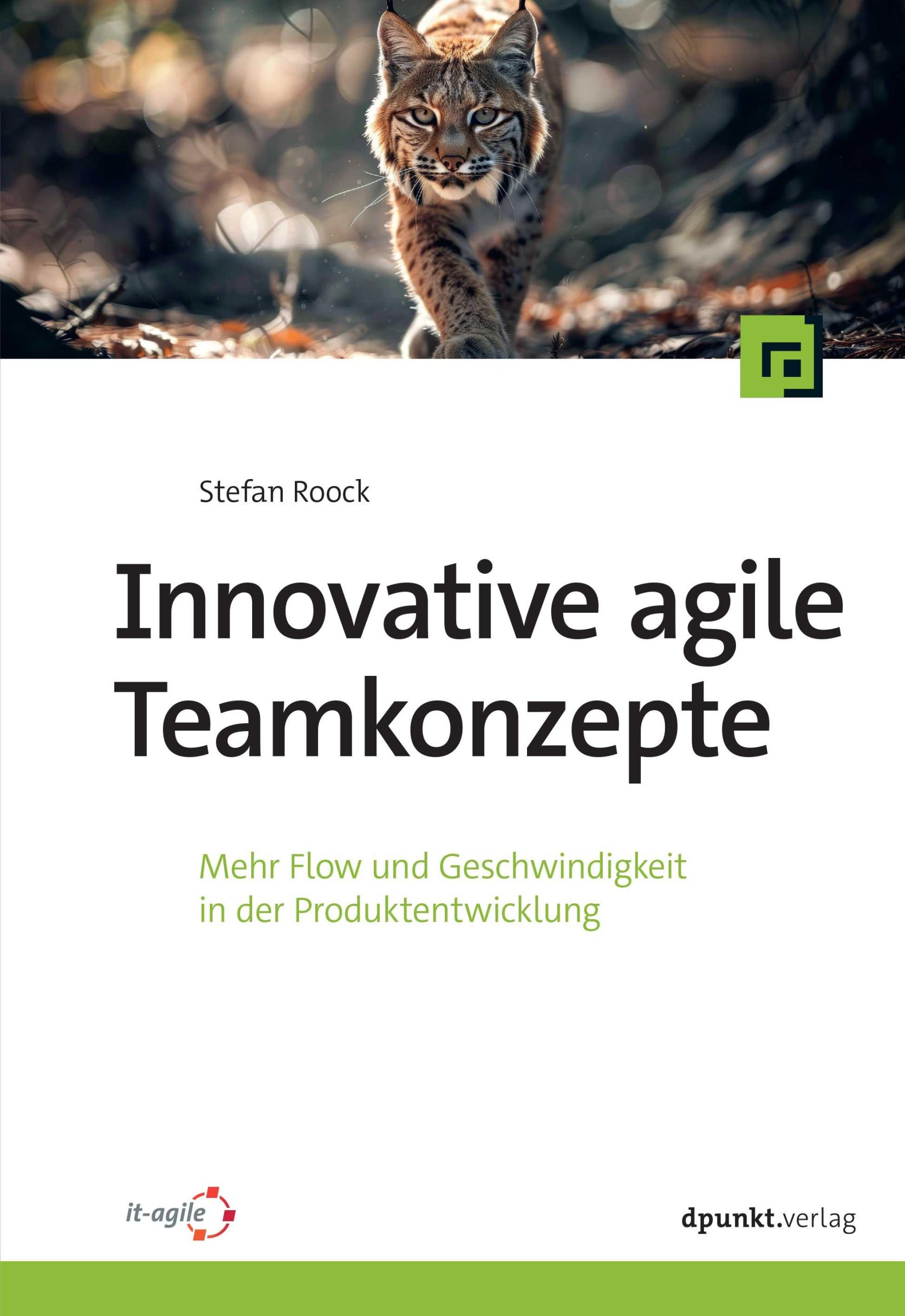 Cover: 9783988890375 | Innovative agile Teamkonzepte | Stefan Roock | Taschenbuch | XIII