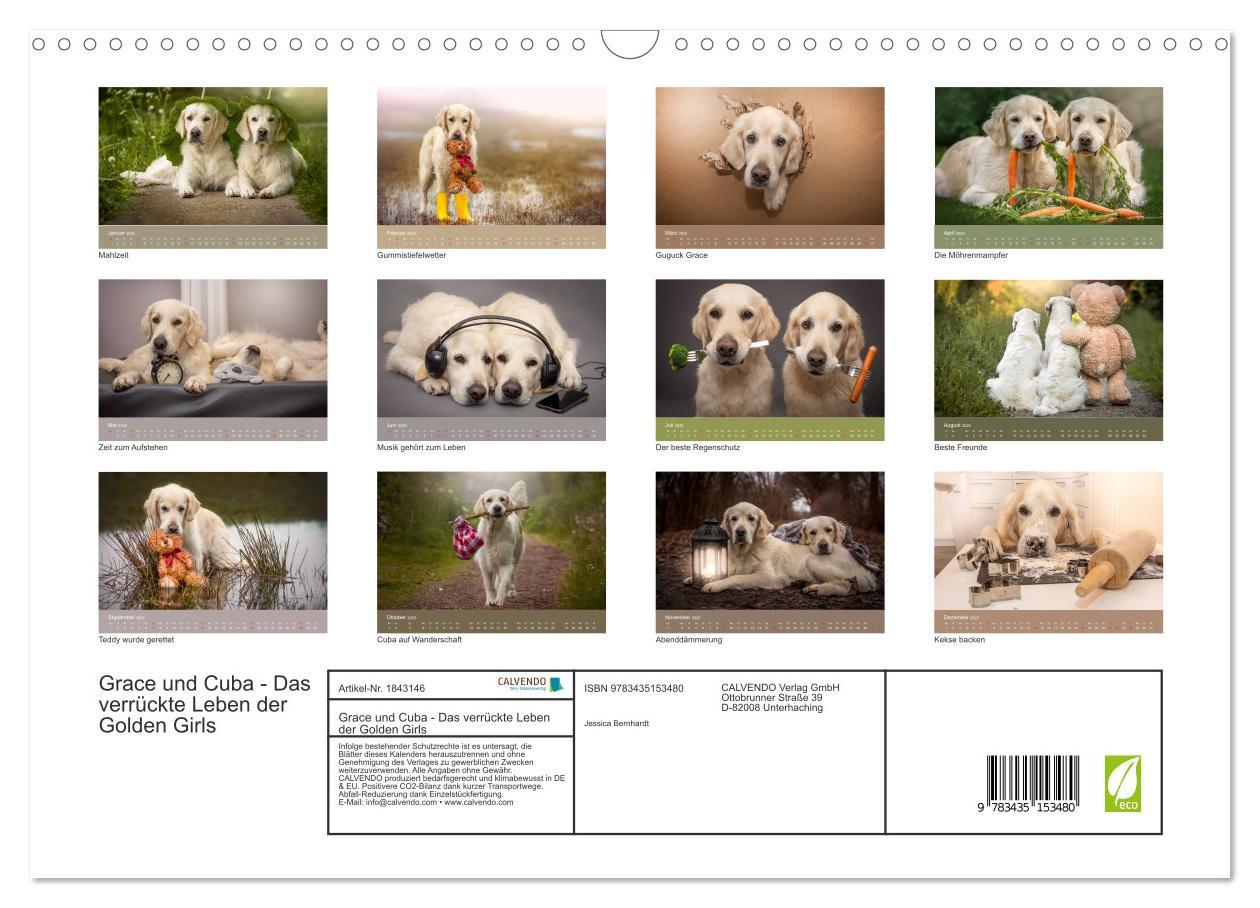 Bild: 9783435153480 | Grace und Cuba - Das verrückte Leben der Golden Girls (Wandkalender...