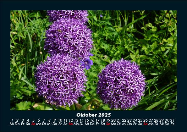 Bild: 9783755986577 | Blumenkalender 2025 Fotokalender DIN A5 | Tobias Becker | Kalender