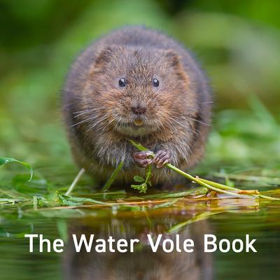 Cover: 9781802581676 | Water Vole Book, The | Hugh Warwick | Buch | Gebunden | Englisch