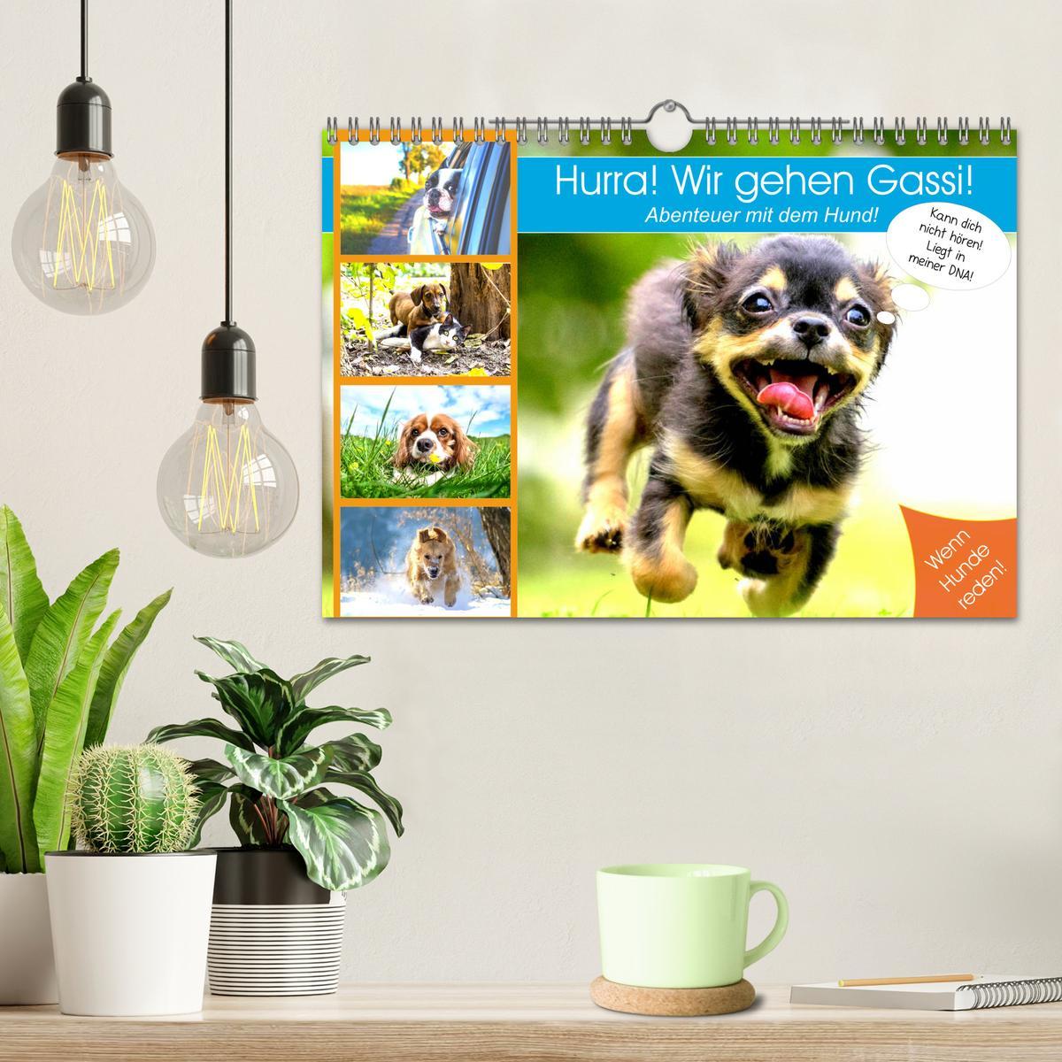 Bild: 9783435184897 | Hurra! Wir gehen Gassi! Abenteuer mit dem Hund! (Wandkalender 2025...