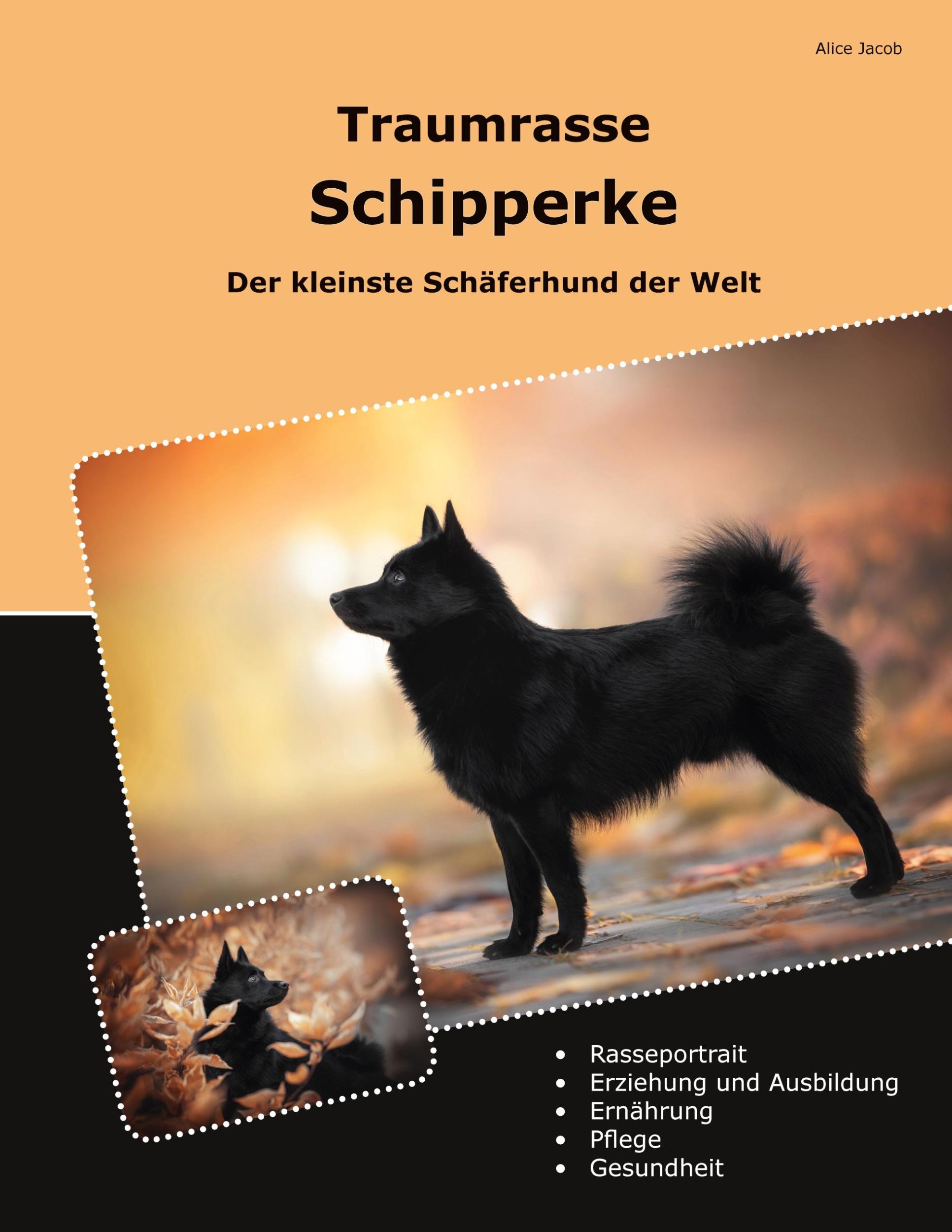 Cover: 9783759774743 | Traumrasse Schipperke | Der kleinste Schäferhund der Welt | Jacob