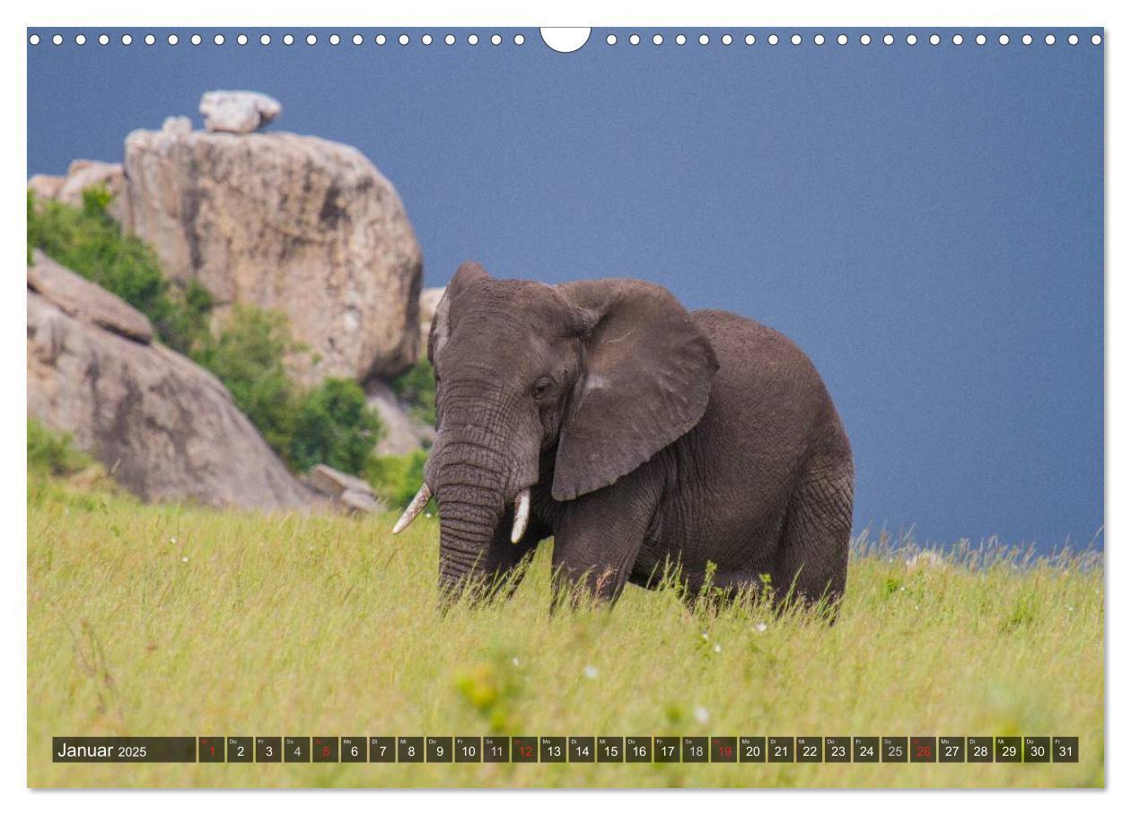 Bild: 9783435808168 | Abenteuer Tansania, Afrika (Wandkalender 2025 DIN A3 quer),...