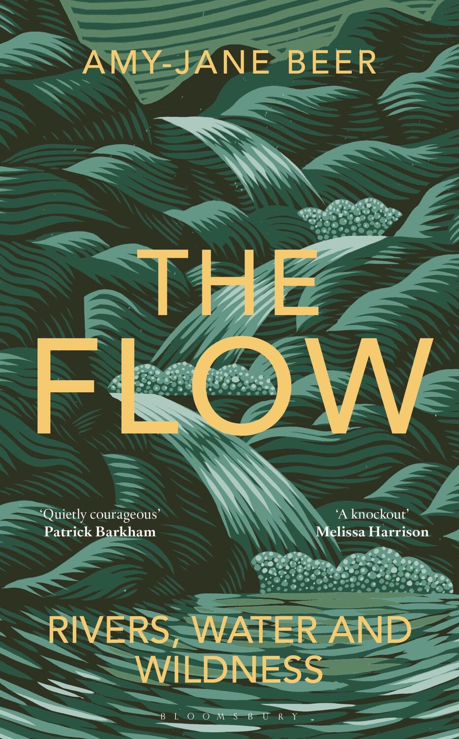 Autor: 9781472977397 | The Flow | Amy-Jane Beer | Buch | Gebunden | Englisch | 2022