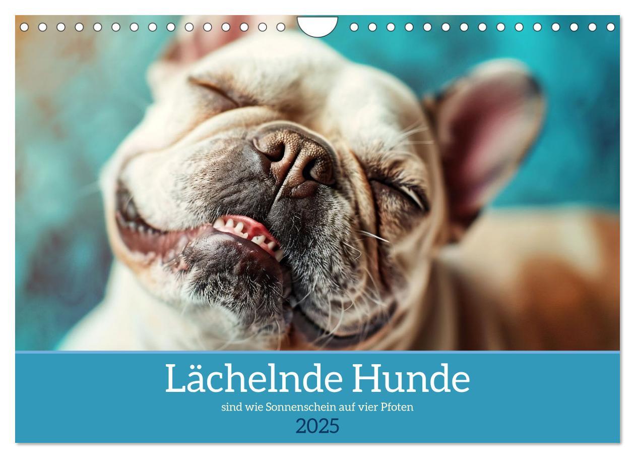 Cover: 9783383826986 | Lächelnde Hunde sind wie Sonnenschein auf vier Pfoten (Wandkalender...