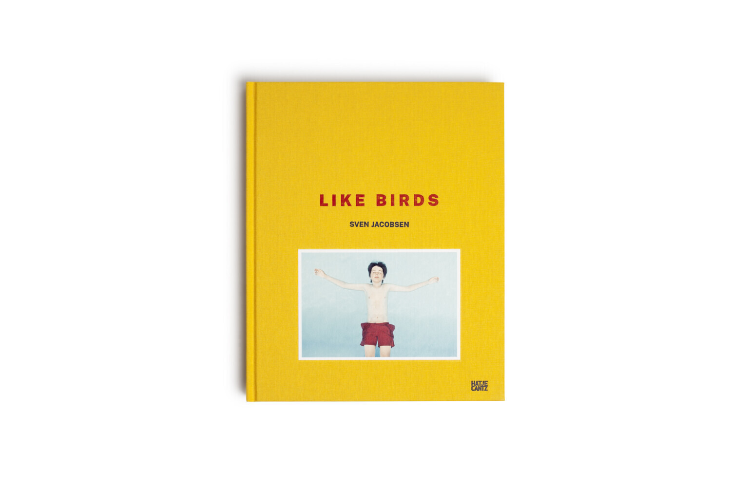 Bild: 9783775750325 | Sven Jacobsen | Like Birds | Nadine Barth | Buch | 208 S. | Deutsch