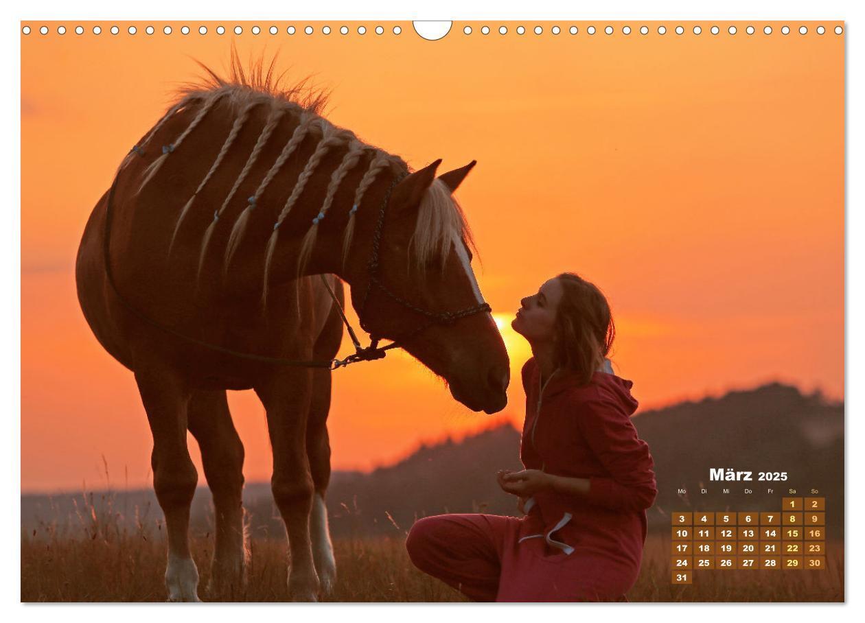 Bild: 9783457184998 | Haflinger: Die blonden Pferde von der Alm (Wandkalender 2025 DIN A3...