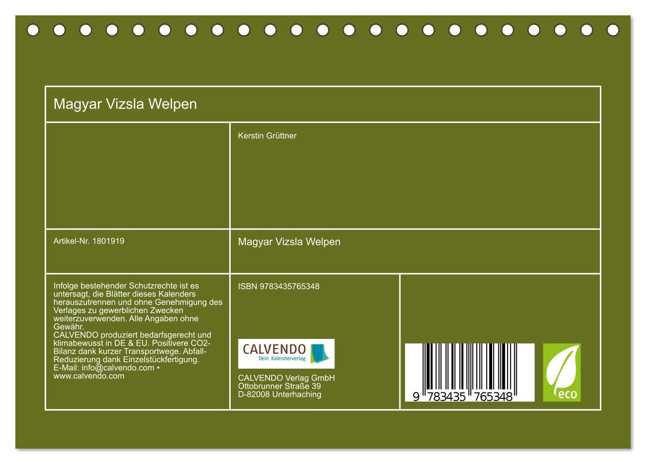 Bild: 9783435765348 | Magyar Vizsla Welpen (Tischkalender 2025 DIN A5 quer), CALVENDO...