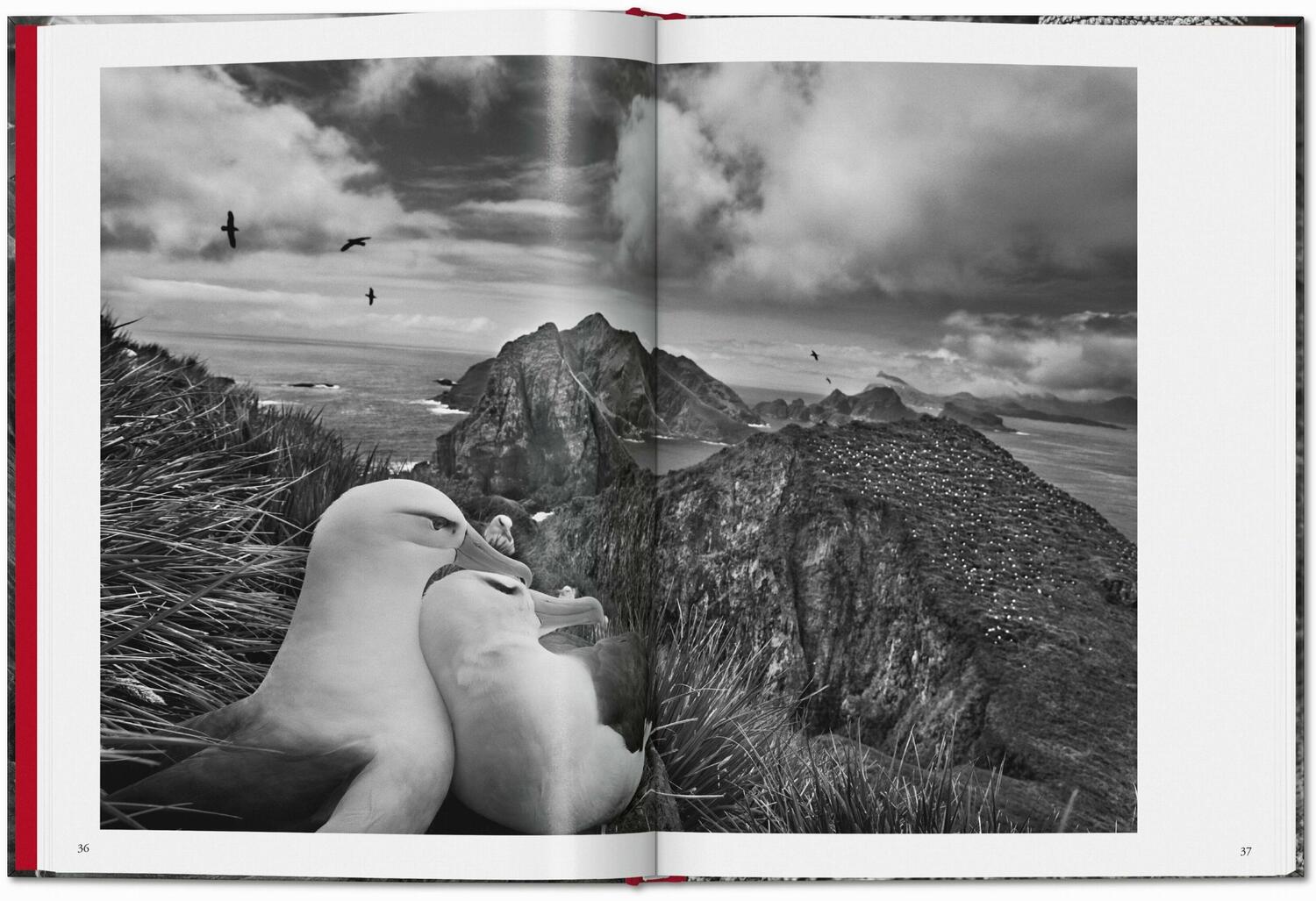 Bild: 9783754400616 | Sebastião Salgado. Genesis | Taschen | Buch | 192 S. | Deutsch | 2024