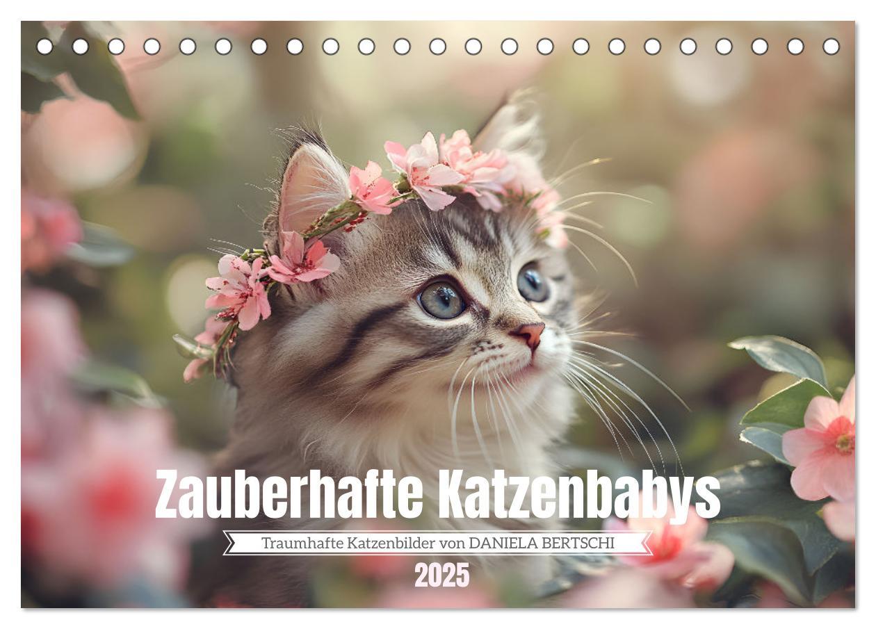 Cover: 9783457208038 | Zauberhafte Katzenbabys (Tischkalender 2025 DIN A5 quer), CALVENDO...