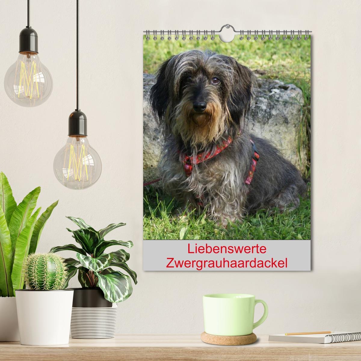 Bild: 9783457008522 | Liebenswerte Zwergrauhaardackel (Wandkalender 2025 DIN A4 hoch),...