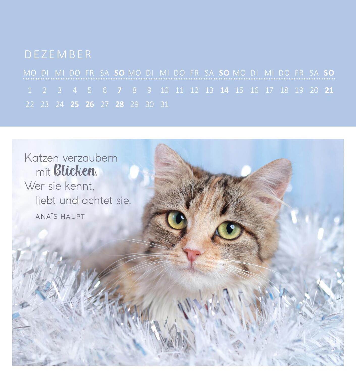 Bild: 4014489133667 | Wandkalender Katzenweisheiten 2025 | Kalender | 26 S. | Deutsch | 2025