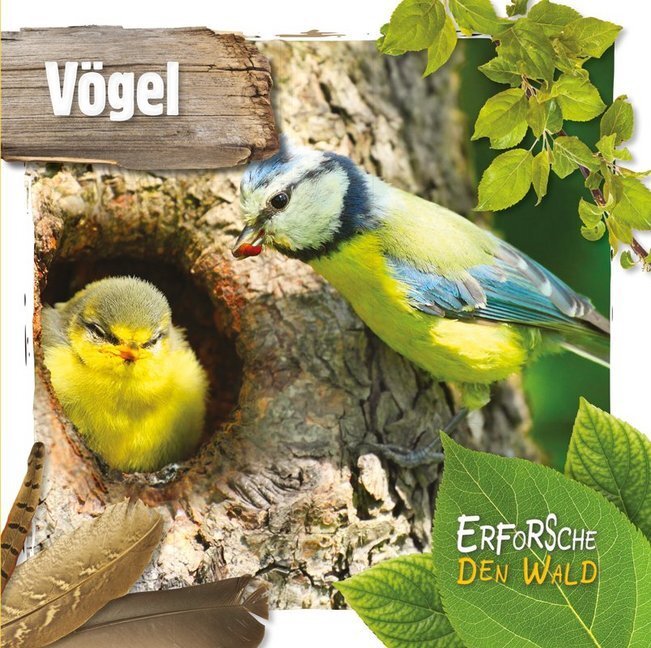 Cover: 9789463415682 | Vögel | Mit digitalem Zusatzangebot | Robin Twiddy | Buch | 24 S.