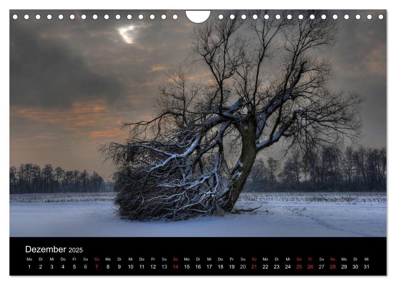 Bild: 9783435835317 | Märchenkulissen - Landschaften der Oberpfalz (Wandkalender 2025 DIN...