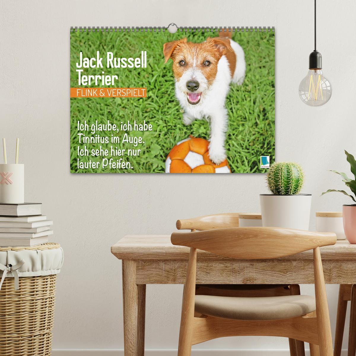 Bild: 9783457199794 | Jack Russell Terrier: flink und verspielt (Wandkalender 2025 DIN A3...