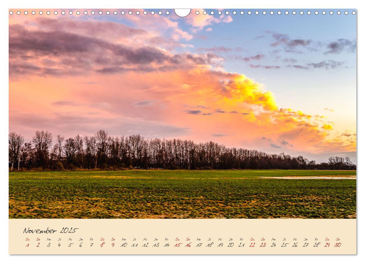 Bild: 9783383982484 | Friedländer Große Wiese (Wandkalender 2025 DIN A3 quer), CALVENDO...