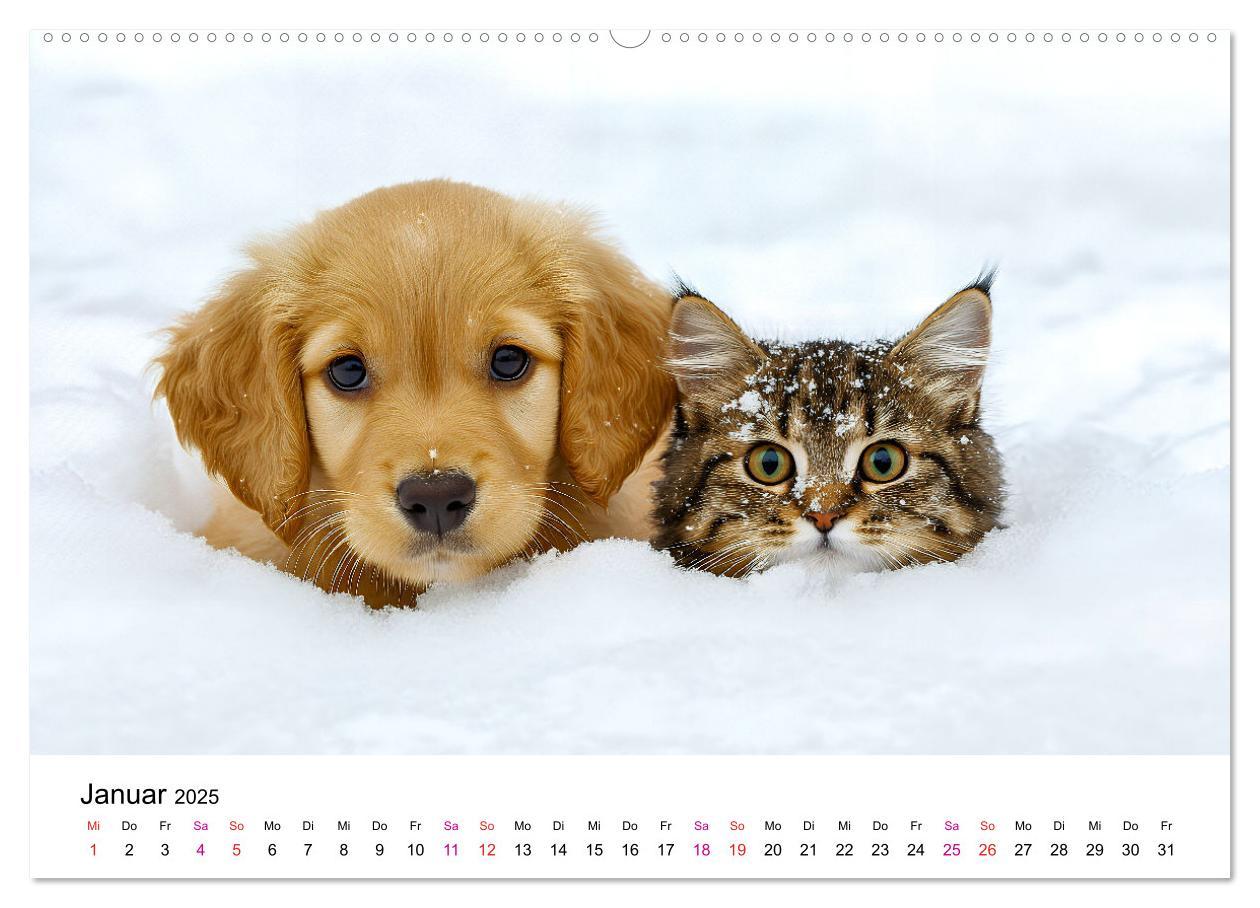 Bild: 9783457218310 | Katzenzauber - Samtpfoten im Jahreslauf (Wandkalender 2025 DIN A2...