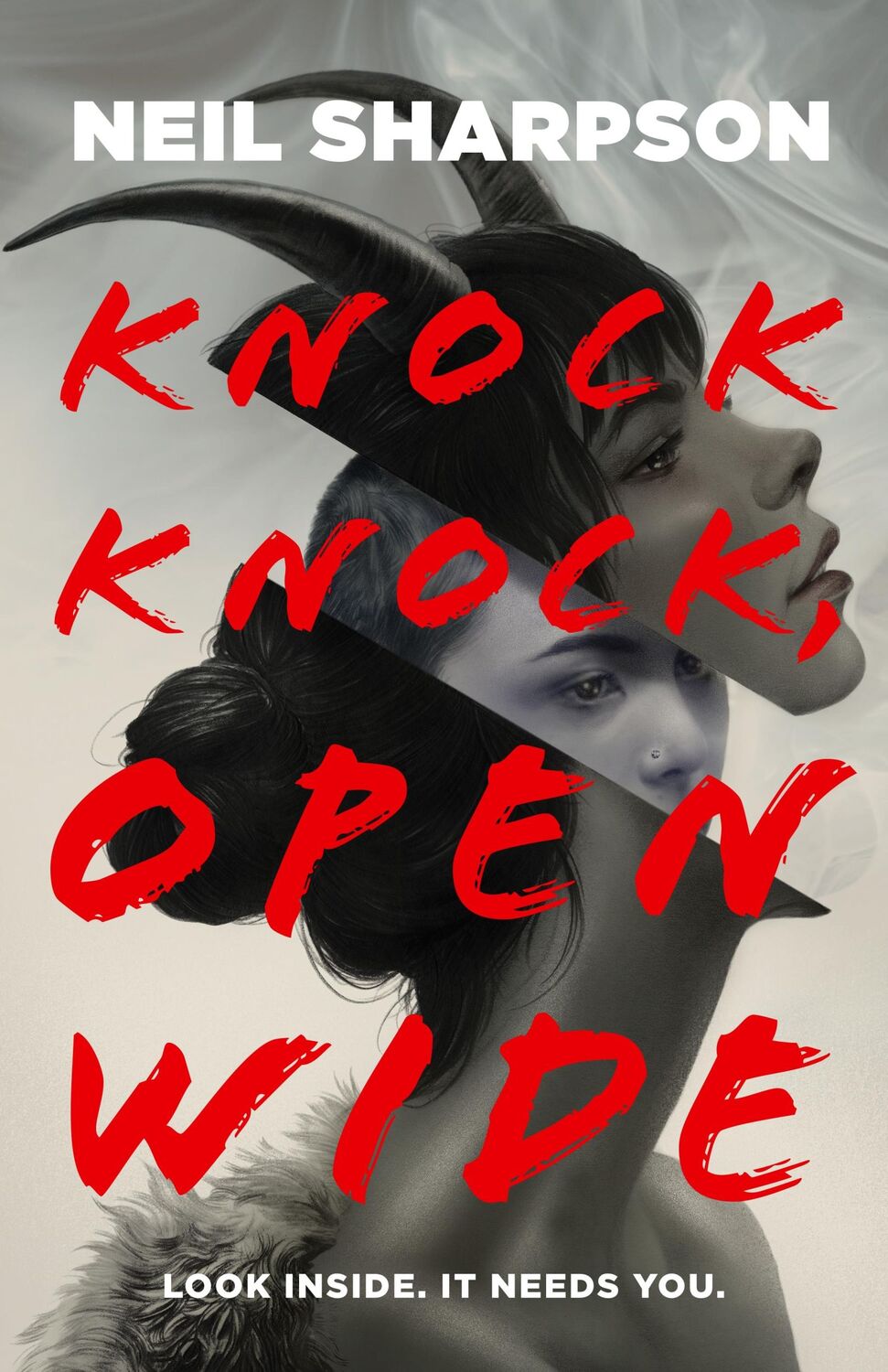 Cover: 9781250785480 | Knock Knock, Open Wide | Neil Sharpson | Taschenbuch | Englisch | 2024