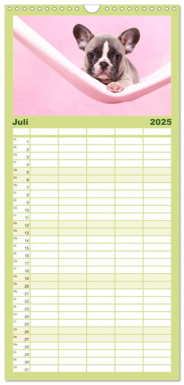 Bild: 9783457111284 | Familienplaner 2025 - Der Bully - Kalender Familienplaner hoch mit...