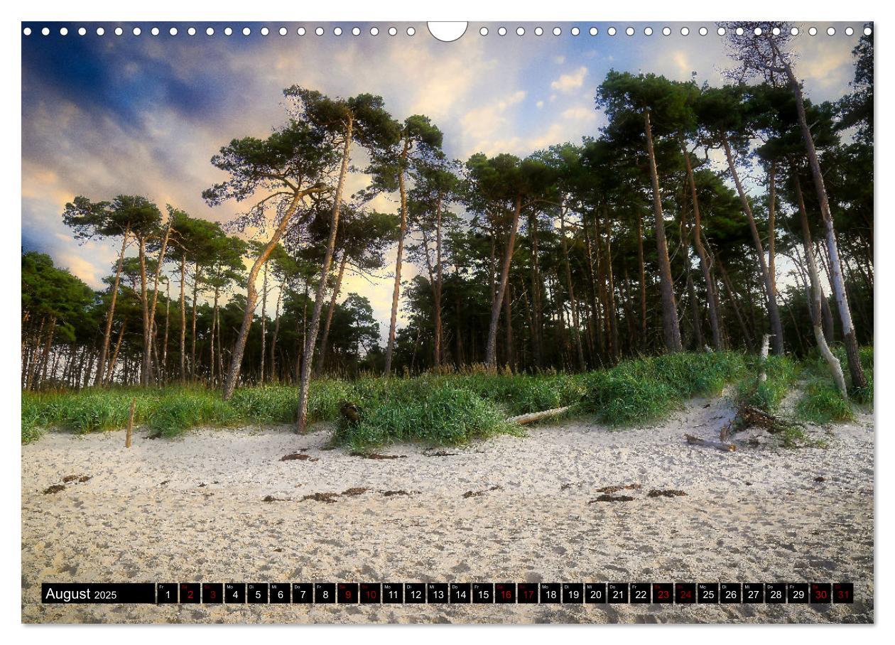 Bild: 9783435023943 | Fischland - Darß- Zingst (Wandkalender 2025 DIN A3 quer), CALVENDO...