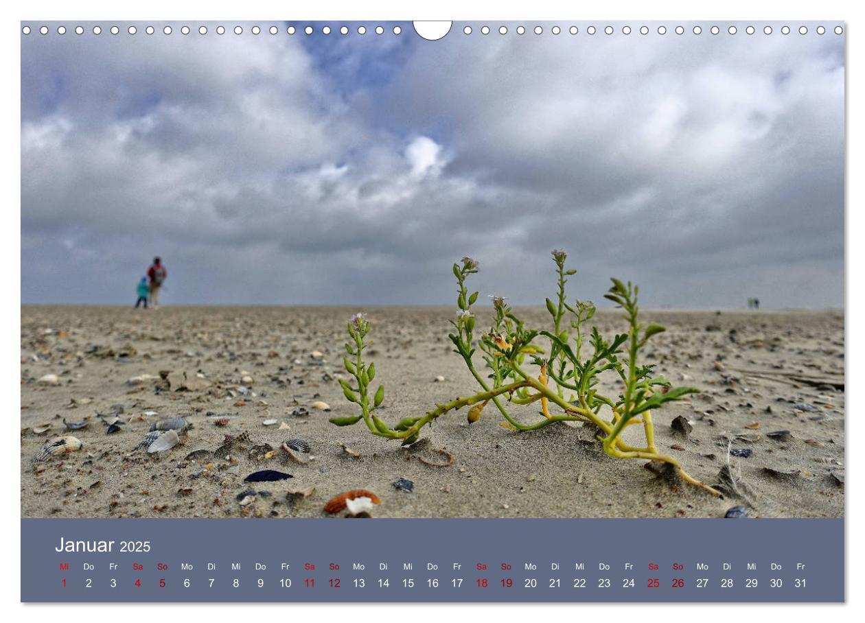 Bild: 9783435419388 | Norderney - Meine Trauminsel (Wandkalender 2025 DIN A3 quer),...