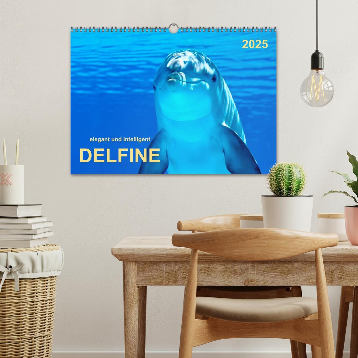 Bild: 9783435594177 | Delfine - elegant und intelligent (Wandkalender 2025 DIN A3 quer),...