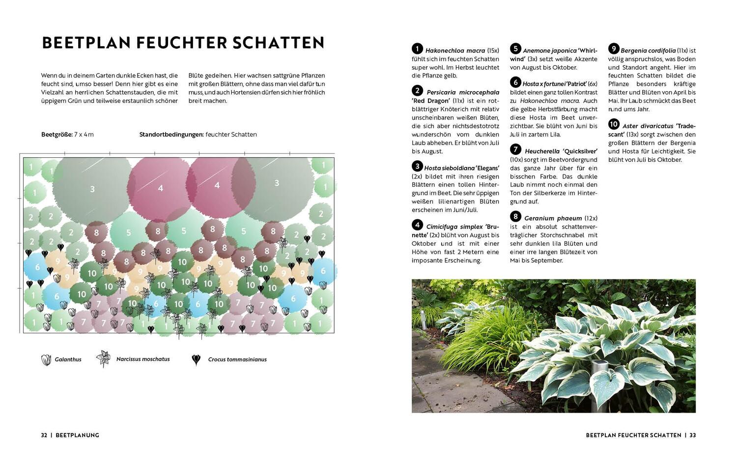 Bild: 9783745919165 | Gartenmomente: Blumen im Garten | Buch | 64 S. | Deutsch | 2024