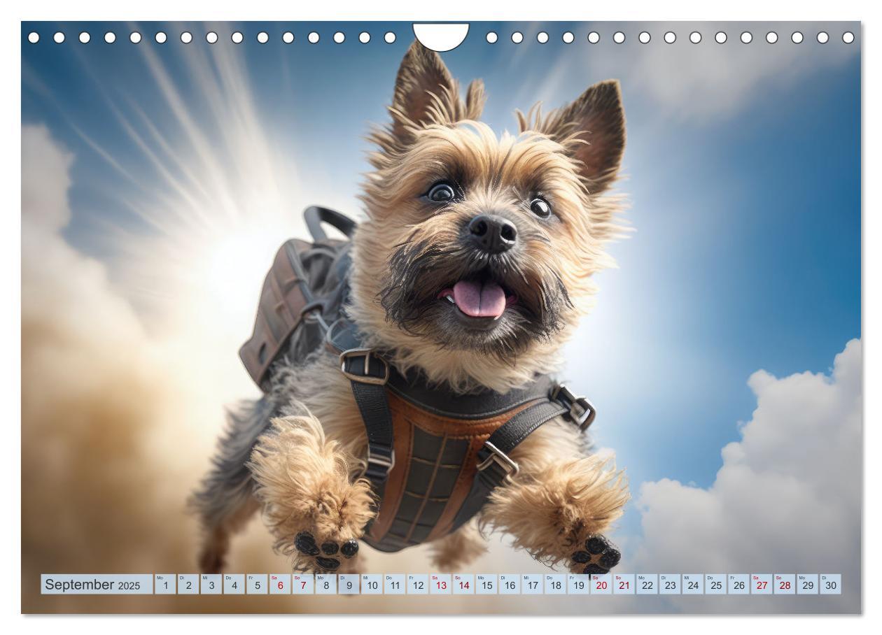 Bild: 9783383867149 | Hunde Skydiving (Wandkalender 2025 DIN A4 quer), CALVENDO...