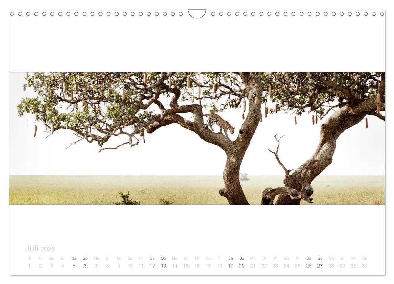 Bild: 9783435687145 | Serengeti Panorama (Wandkalender 2025 DIN A3 quer), CALVENDO...