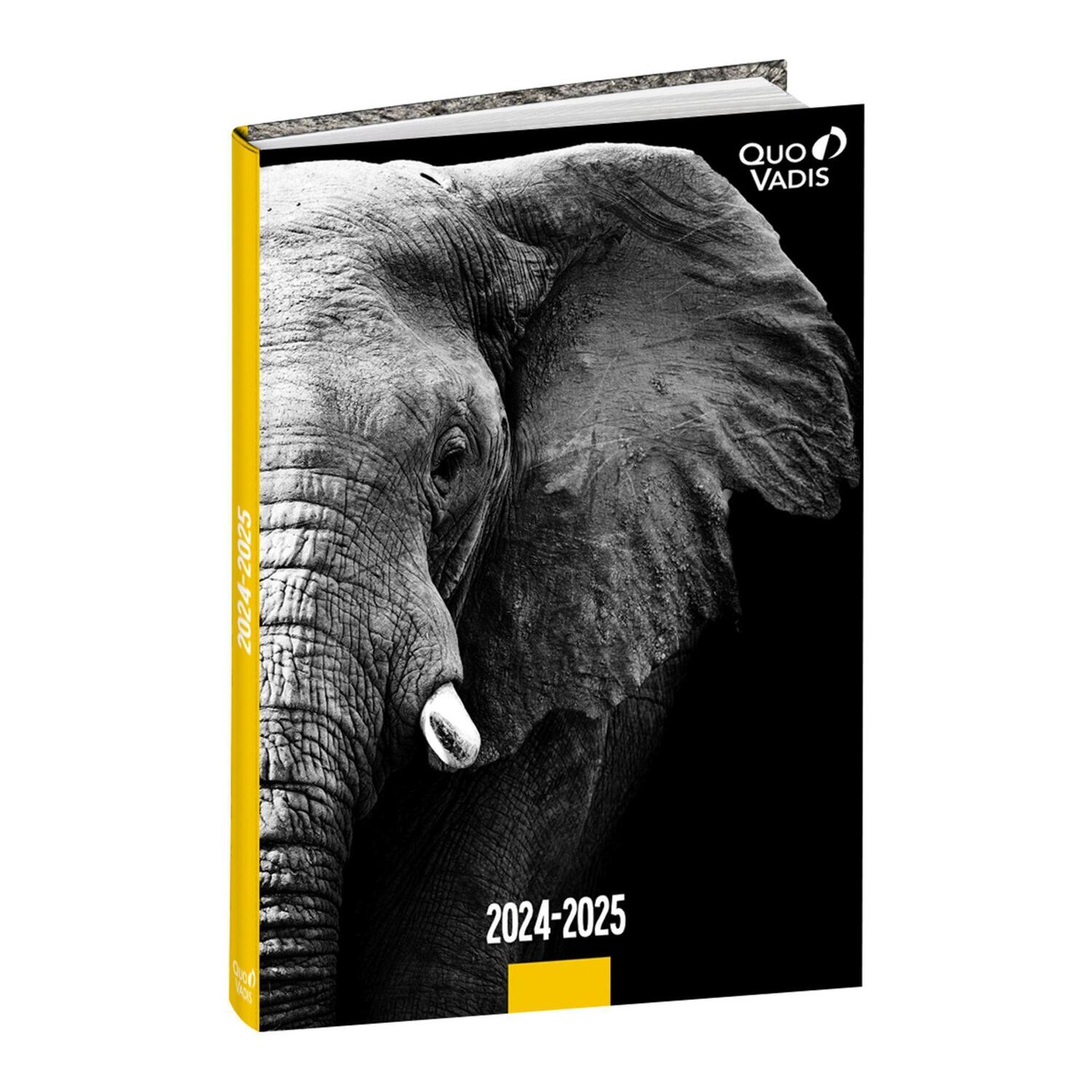 Cover: 3371010519651 | Schülerkalender FORUM DE Tiere Elefant 2024/2025 | Schülerkalender