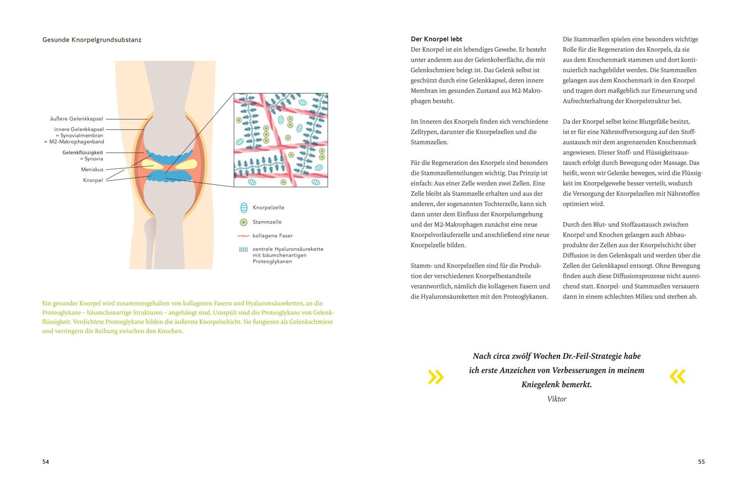 Bild: 9783833891847 | Arthrose endlich heilen | Wolfgang Feil (u. a.) | Buch | 208 S. | 2024