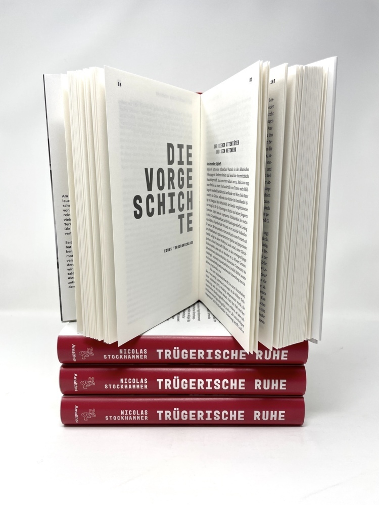 Bild: 9783990502525 | Trügerische Ruhe | Nicolas Stockhammer | Buch | 288 S. | Deutsch