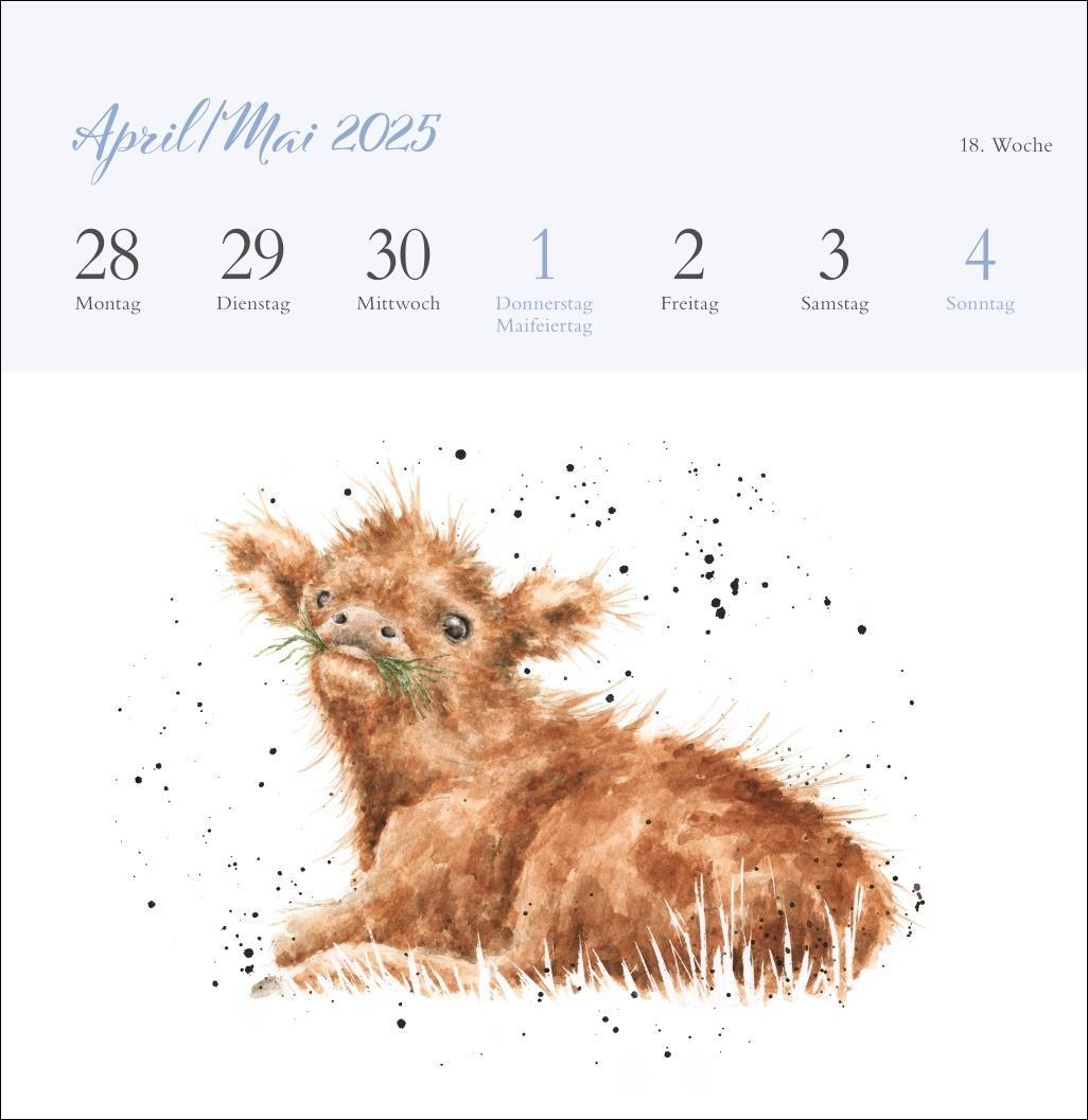 Bild: 9783756408641 | Hannah Dale: Happy Animals Premium-Postkartenkalender 2025 | Kalender