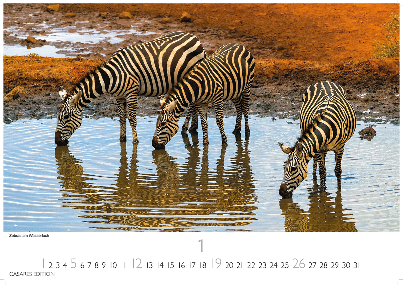 Bild: 9781835240601 | Kenia/Serengeti 2025 L 35x50cm | Kalender | 14 S. | Deutsch | 2025