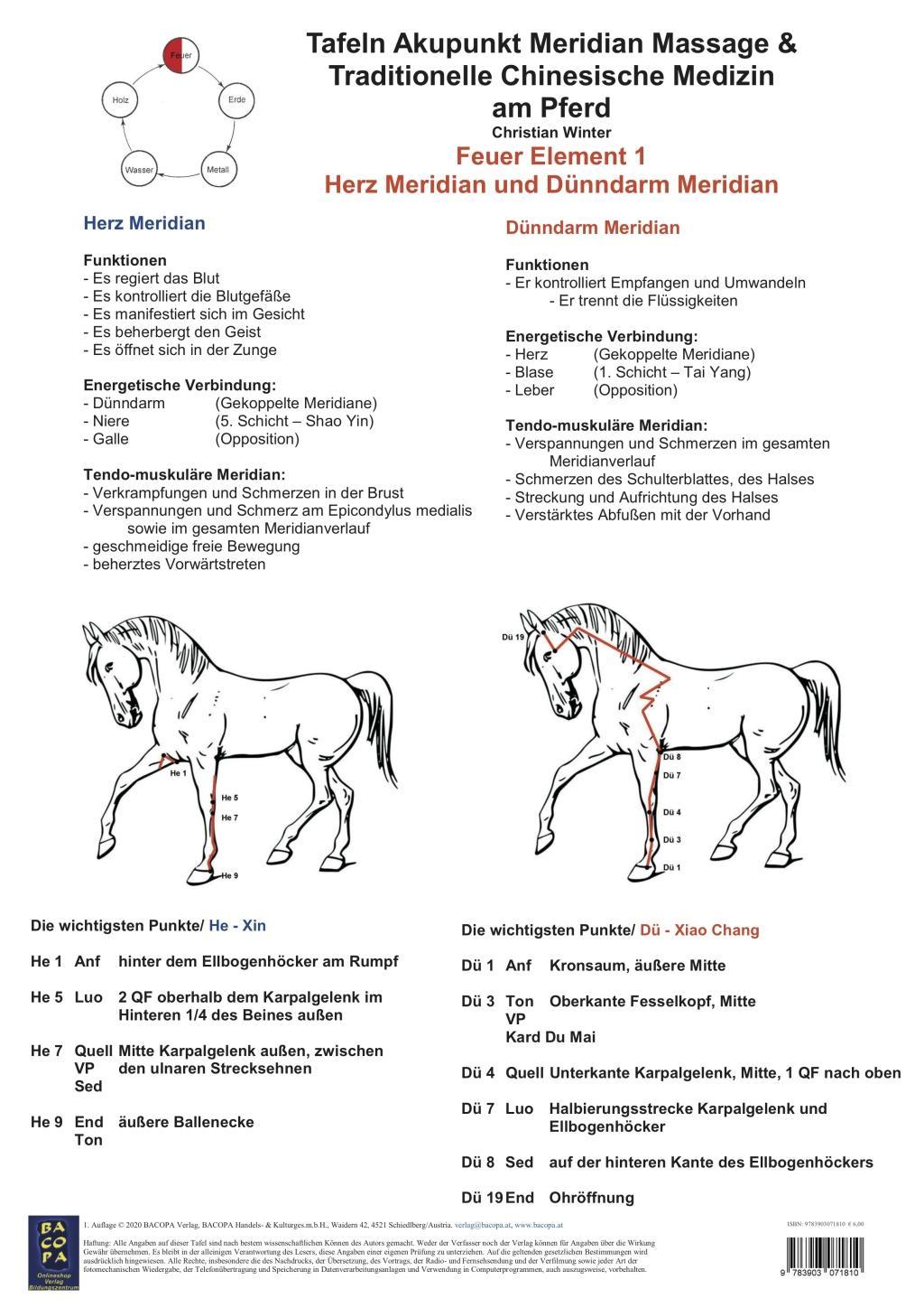 Cover: 9783903071810 | Feuer Element 1 - Herz Meridian und Dünndarm Meridian | Winter | 1 S.