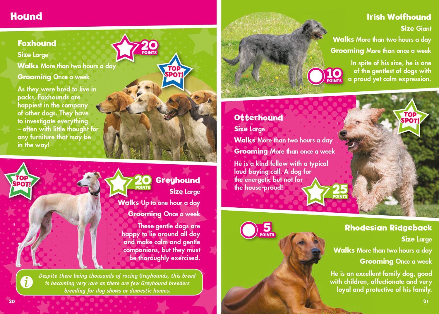 Bild: 9780008431778 | i-SPY Dogs | Spy it! Score it! | I-Spy | Taschenbuch | Englisch | 2021