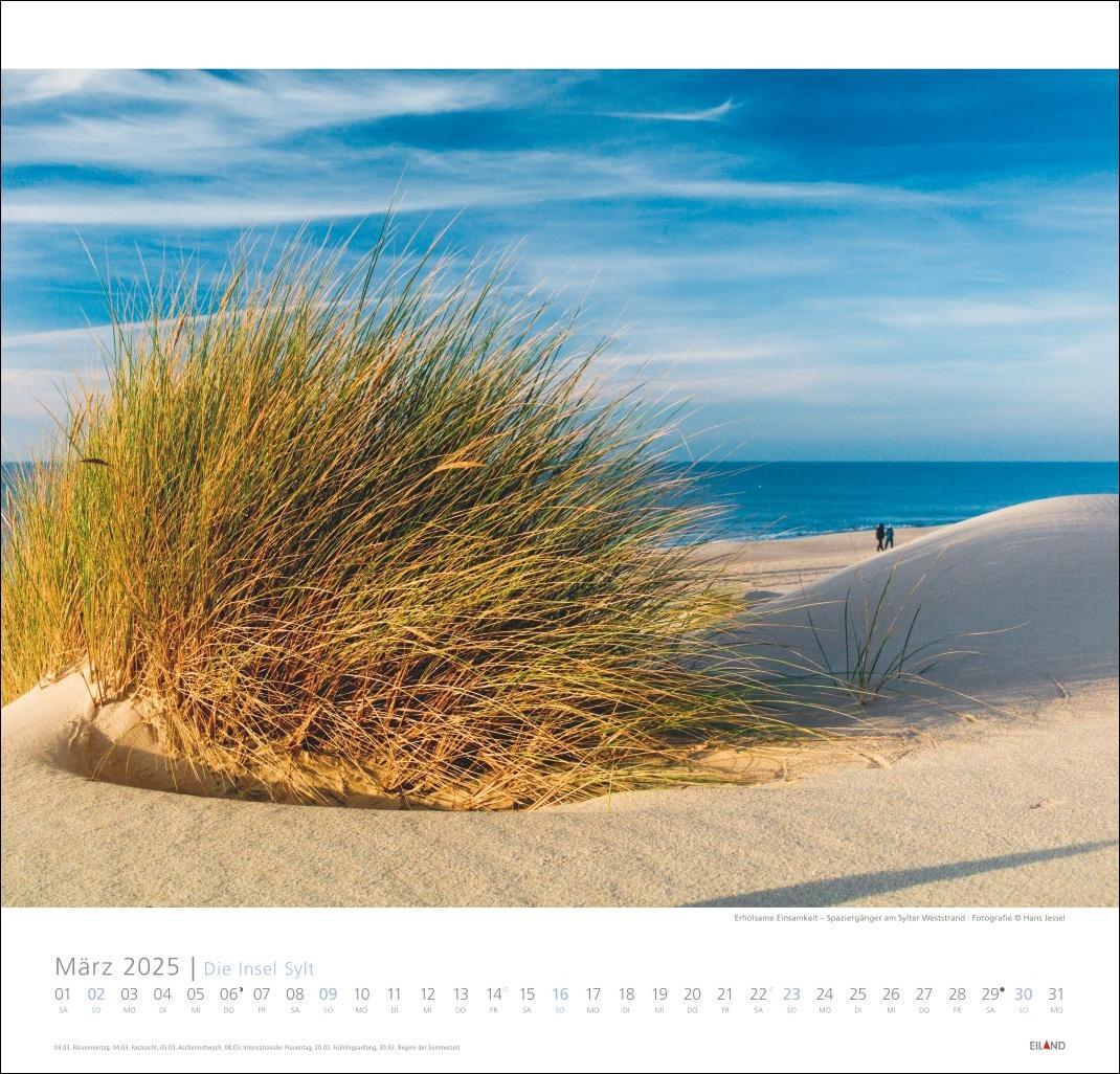 Bild: 9783964023100 | Die Insel Sylt Edition Kalender 2025 - Hans Jessel | Kalender | 13 S.