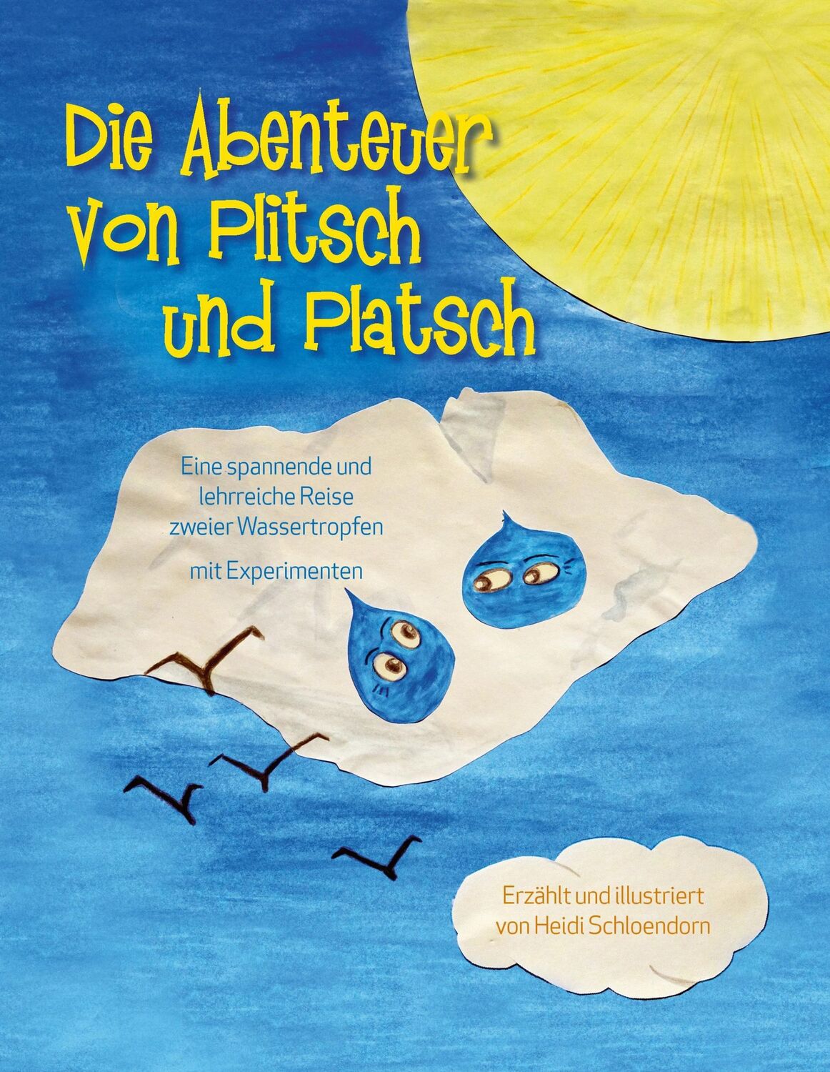 Cover: 9783743155145 | Die Abenteuer von Plitsch und Platsch | Heidi Schloendorn | Buch