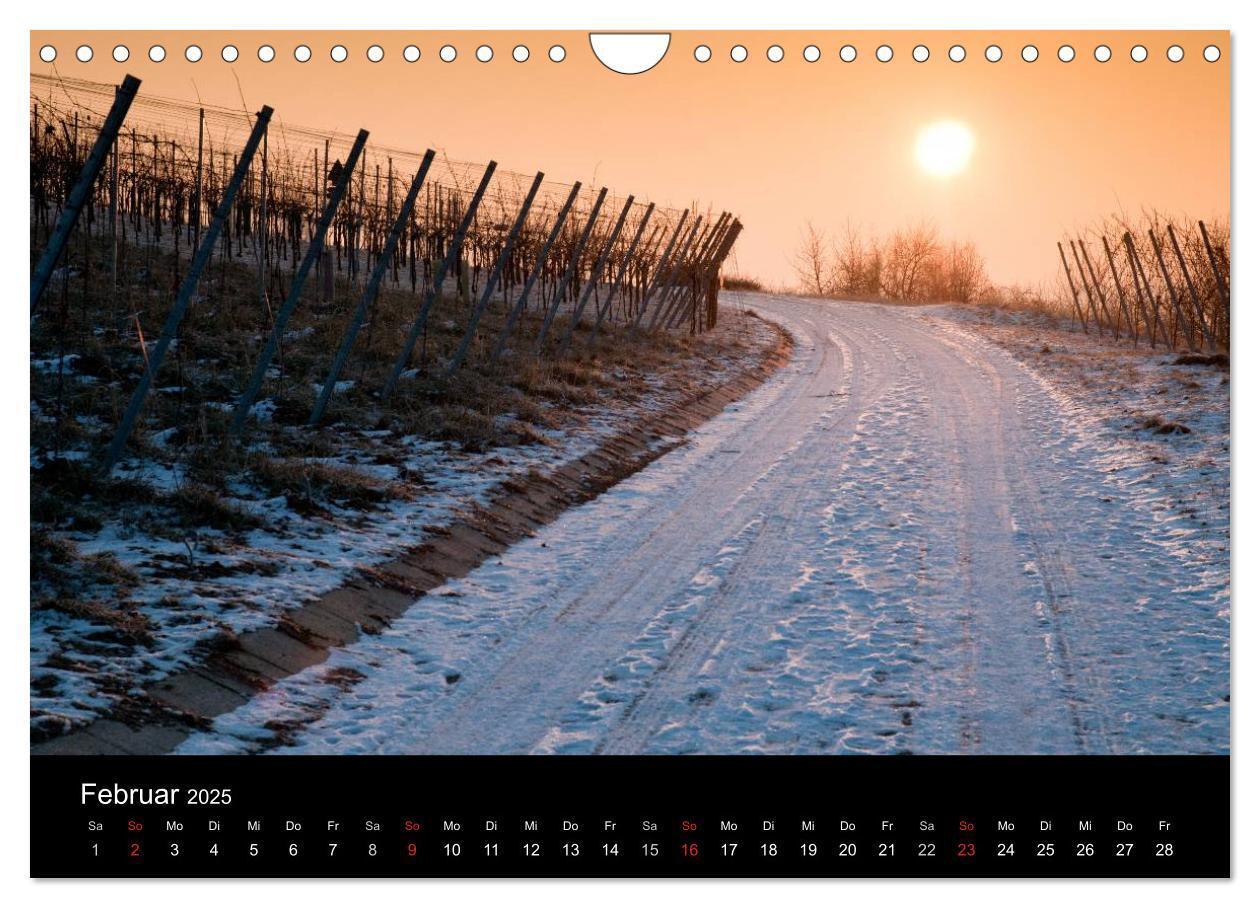 Bild: 9783435718948 | Weinberge im Remstal (Wandkalender 2025 DIN A4 quer), CALVENDO...