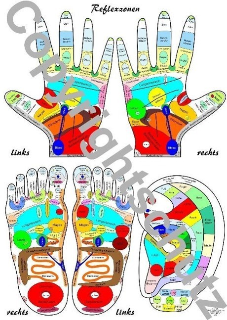 Cover: 9783940832252 | Reflexzonenübersicht - Füße, Hände und Ohr | Übersichtskarte DIN A5