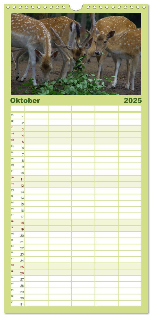 Bild: 9783457122150 | Familienplaner 2025 - Welt der Tiere mit 5 Spalten (Wandkalender,...