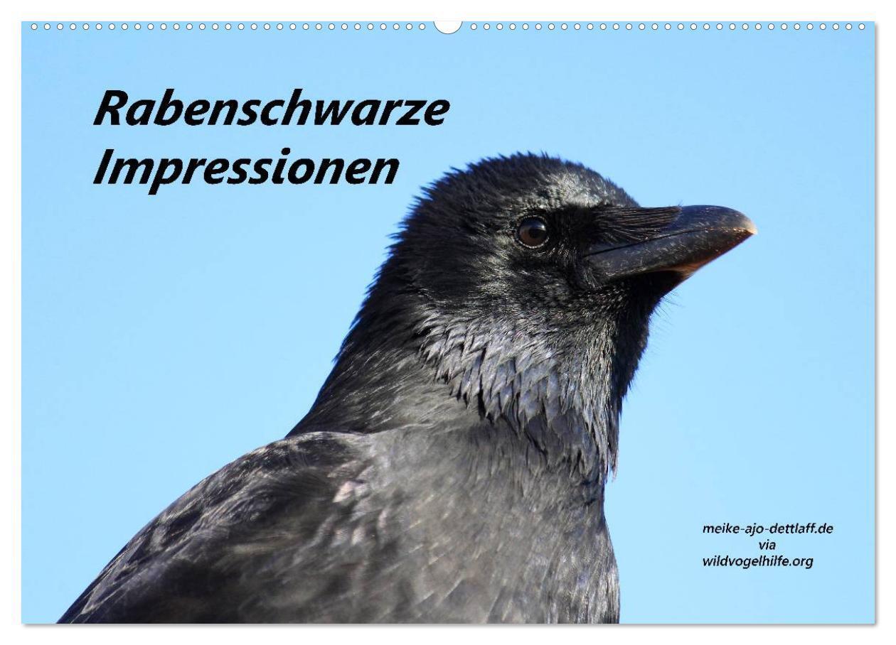 Cover: 9783435540167 | Rabenschwarze Impressionen - meike-ajo-dettlaff.de via...