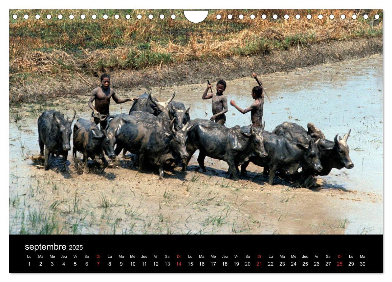 Bild: 9781325960613 | Madagascar L'île aux merveilles (Calendrier mural 2025 DIN A4...