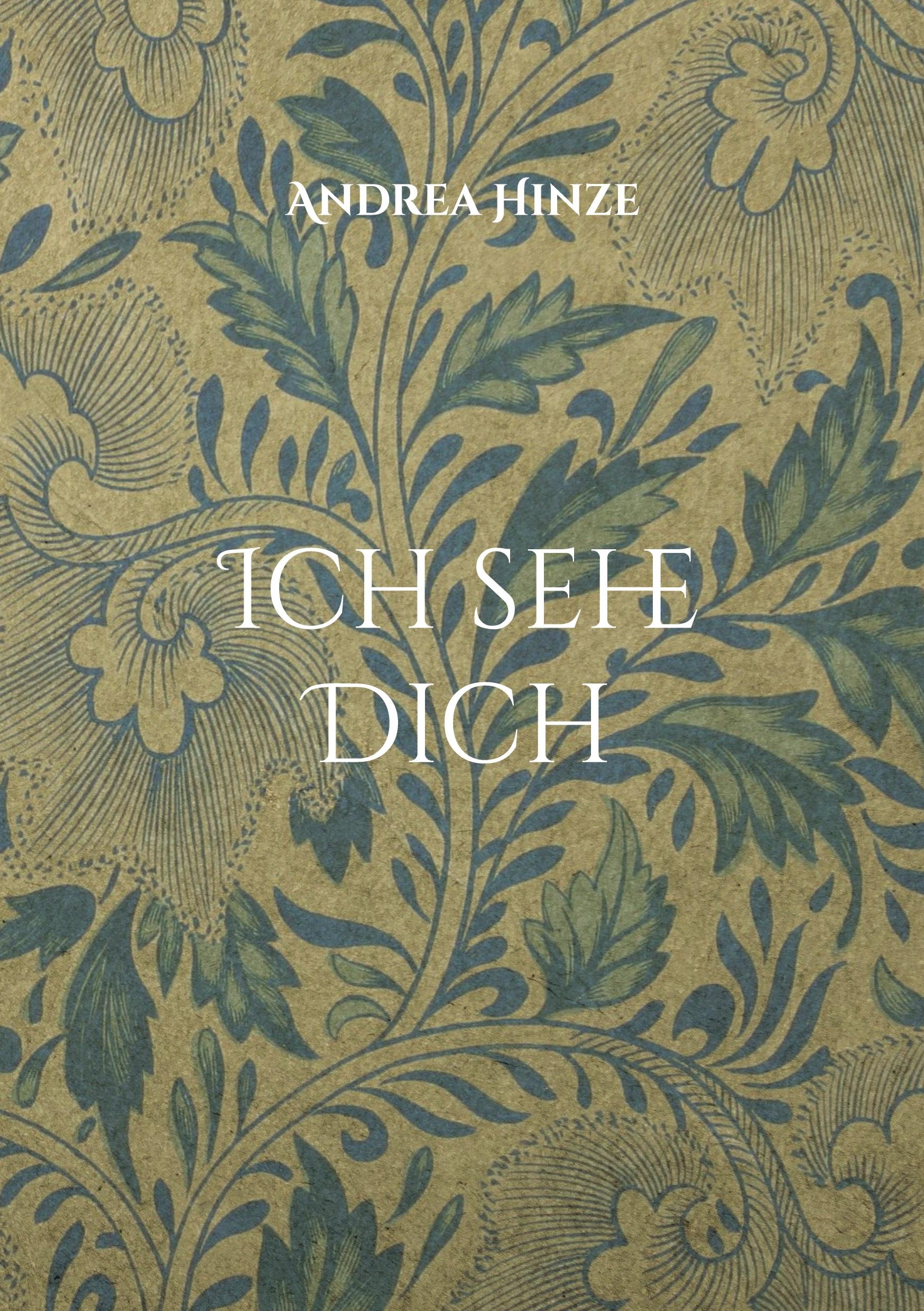 Cover: 9783755742326 | Ich sehe Dich | Das Odium der Ewigkeit | Andrea Hinze | Taschenbuch