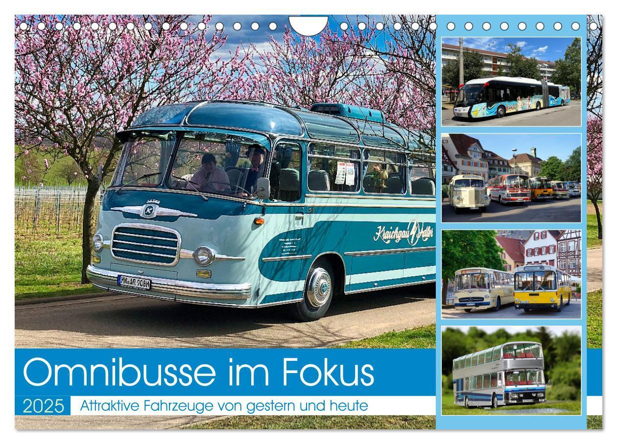 Cover: 9783383829895 | Omnibusse im Fokus (Wandkalender 2025 DIN A4 quer), CALVENDO...