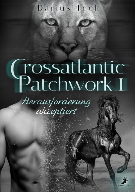 Cover: 9783960893950 | Crossatlantic Patchwork 1: Herausforderung akzeptiert | Darius Tech