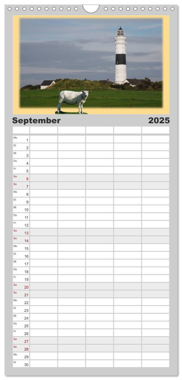 Bild: 9783457115909 | Familienplaner 2025 - Leuchttürme Schleswig-Holsteins mit 5 Spalten...
